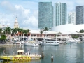 Miami.jpg